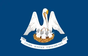 Map of Louisiana showing pest control service areas