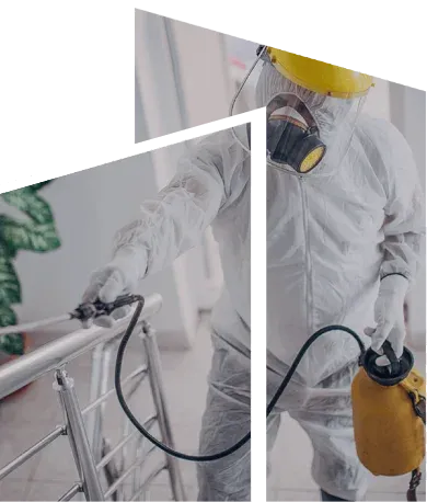 A local pest control technician inspecting and treating a residential property